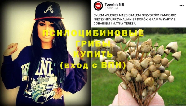 метадон Заводоуковск