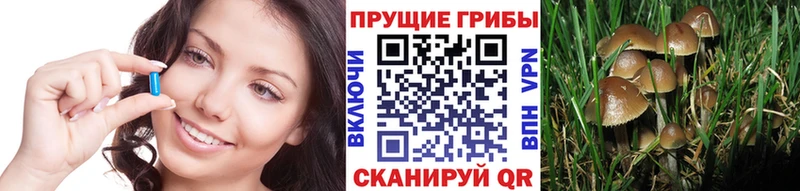 гидра tor  Камызяк  Галлюциногенные грибы GOLDEN TEACHER 